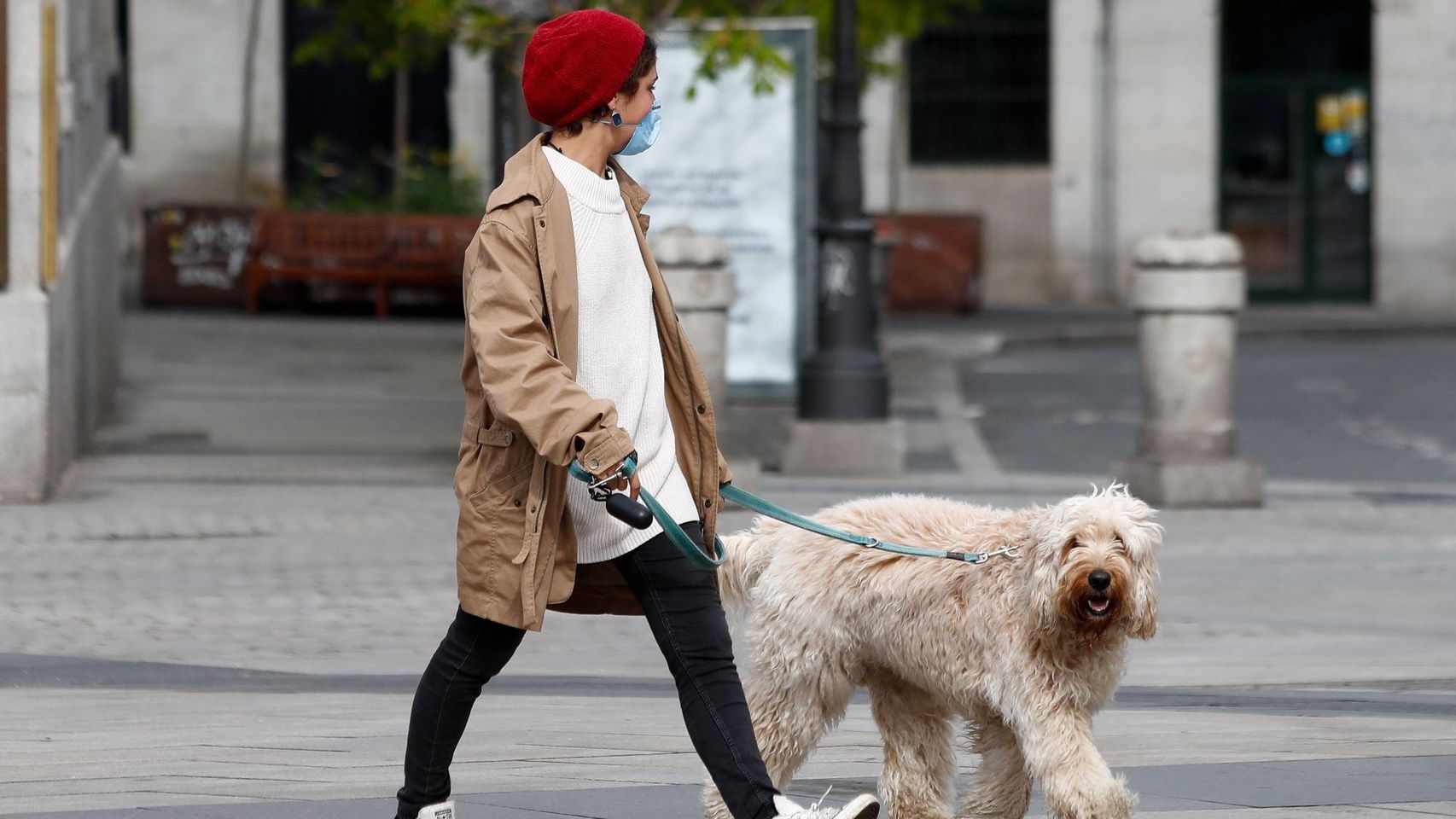 Persona con perro por la calle