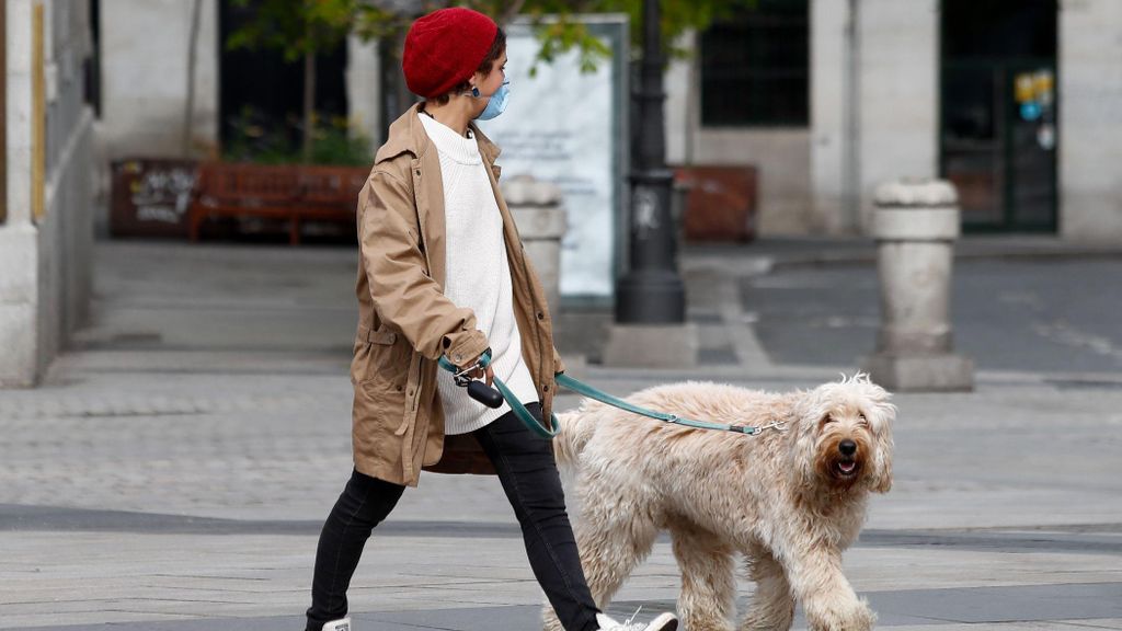 Persona con perro por la calle
