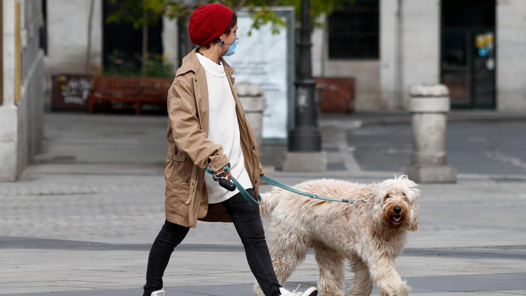 Persona con perro por la calle