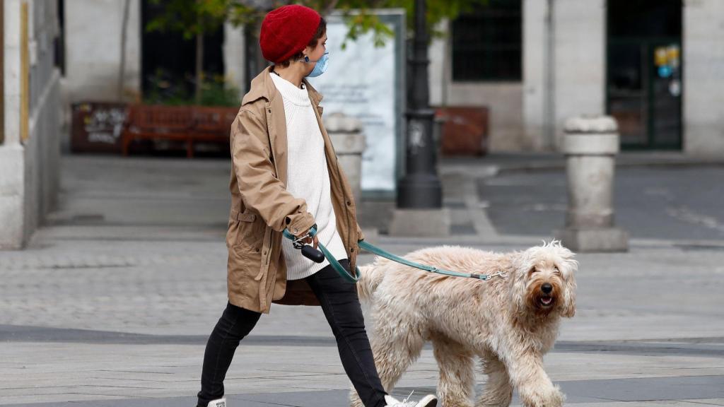 Persona con perro por la calle