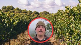 Jan, ganadero: Esta es la muerte de la agricultura y la ganadería europea