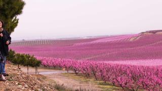 Parece Japón, pero es Cataluña, Aitona