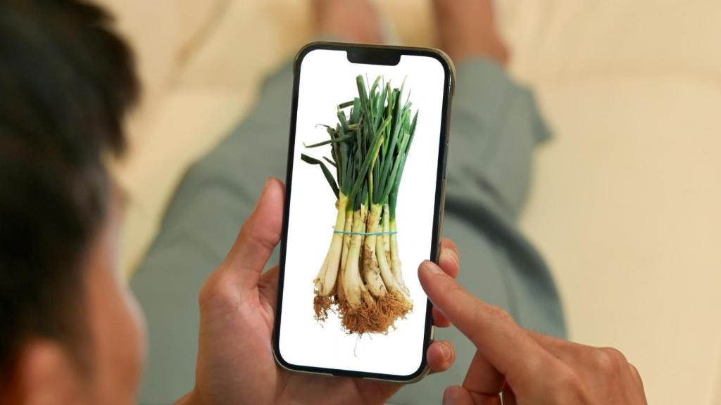 App calçots