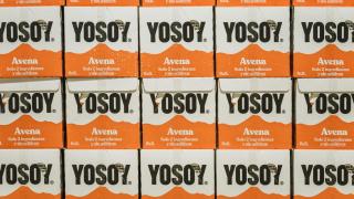 Cajas de Yosoy