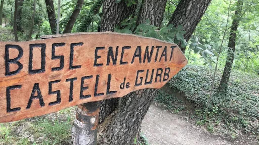 Bosc encantat de Gurb