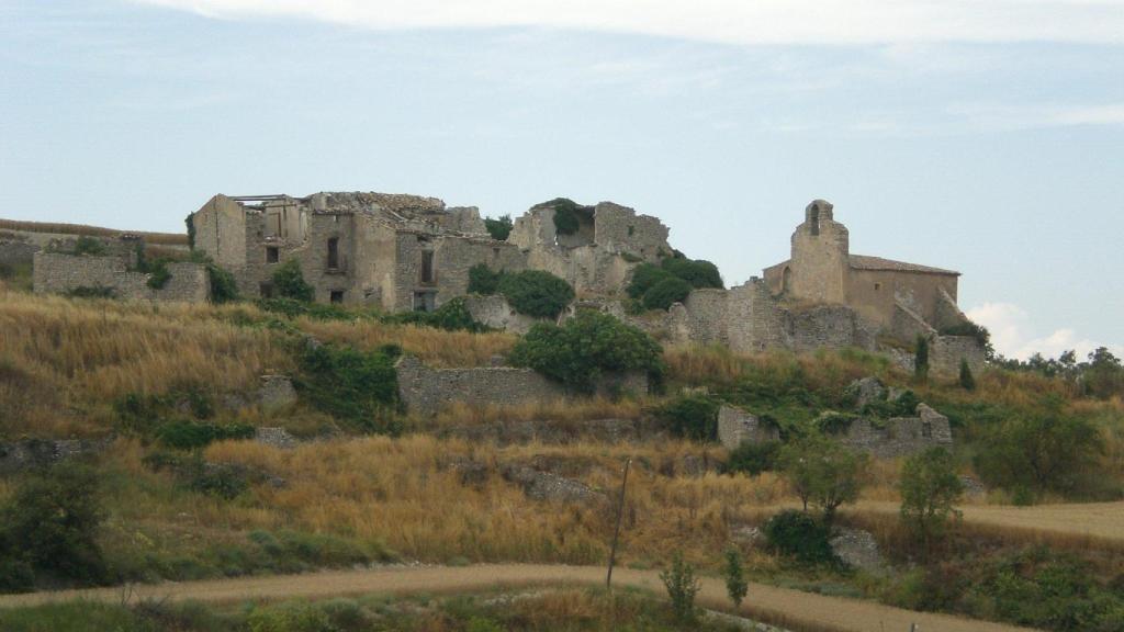 Montargull