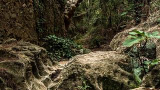 Ruta por los senderos secretos del Baix Camp: el barranco de la Mina de les Nines
