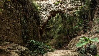 Ruta por los senderos secretos del Baix Camp: el barranco de la Mina de les Nines