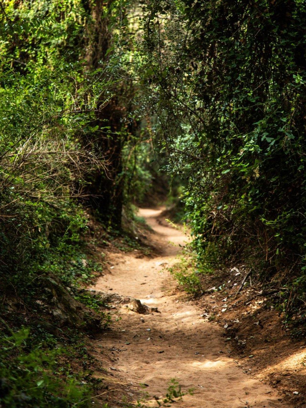 Camí del barranc de la Mina de les Nines