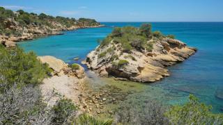 La playa de Tarragona que llama la atención de National Geographic, Cala de l'Illot