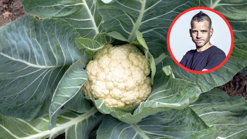 Dabiz Muñoz y coliflor