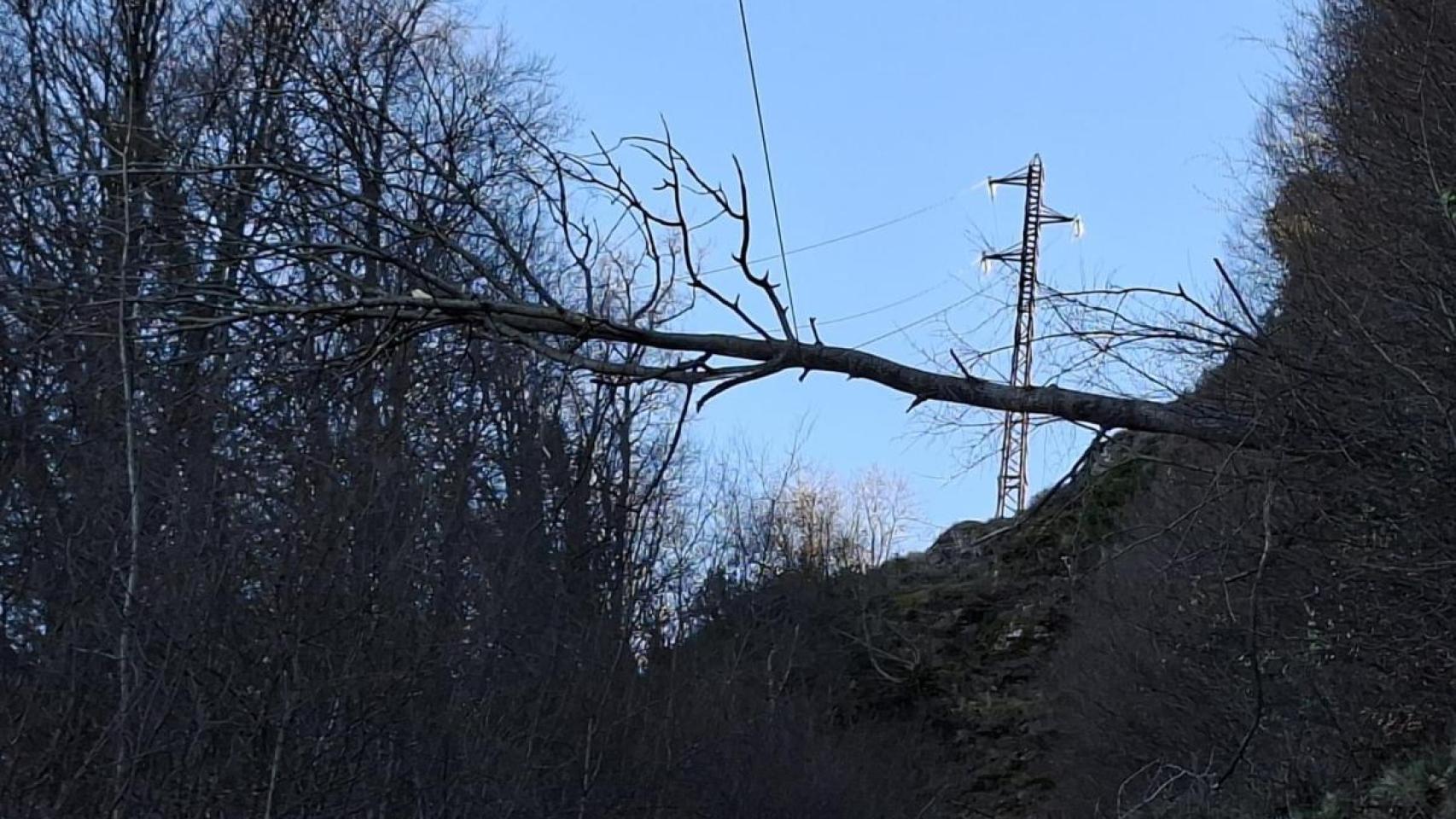 Una de las afectaciones por el viento en la provincia de Girona