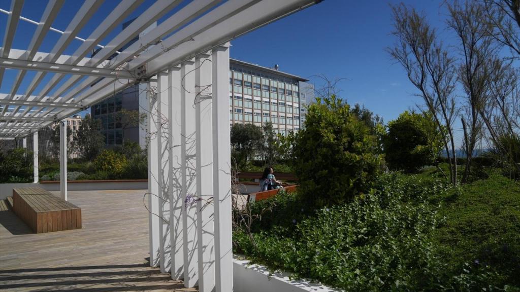 Zona enjardinada de la nova ampliació de l'Hospital del Mar, a 16 de març de 2026, a Barcelona