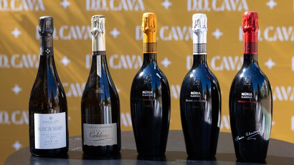 5 nous caves de Guarda Superior de Paratge Qualificat