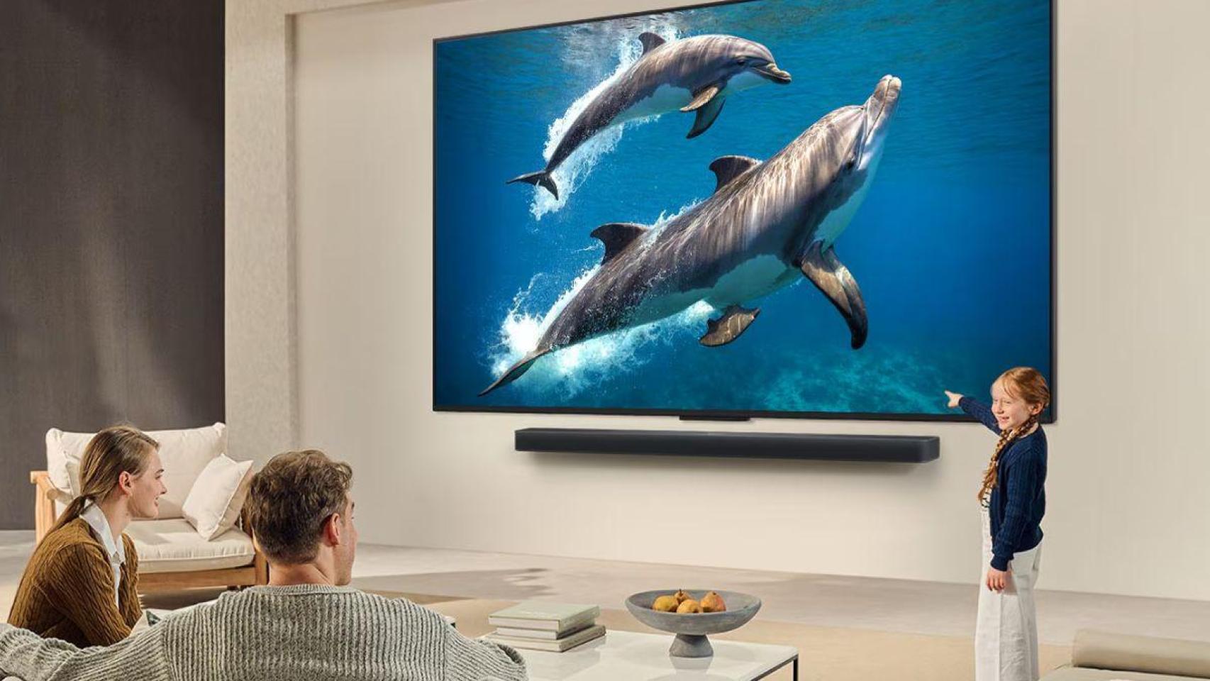 Foto de niña señalando dos delfines que salen en una televisión.jpg