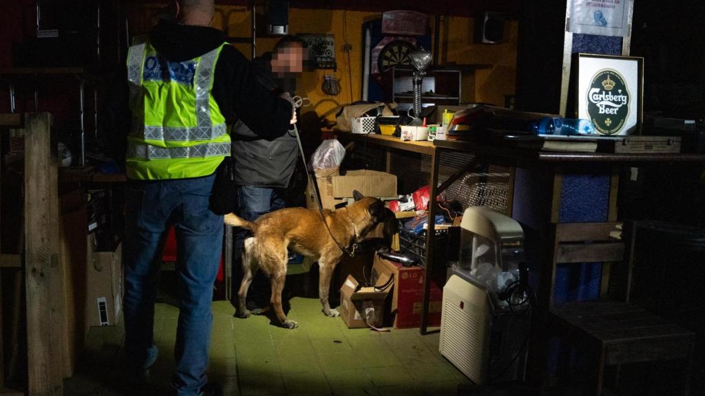 Agents de la Unitat Canina dels Mossos durant el registre d'un bar a Montcada