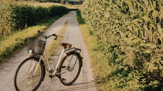 Bicicleta en la naturaleza