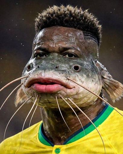 Les burles a xarxes de l'afició del Brasil amb Vinicius