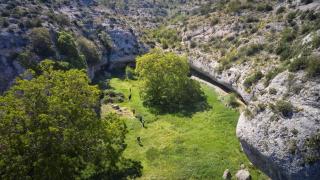 Clot del Cirer