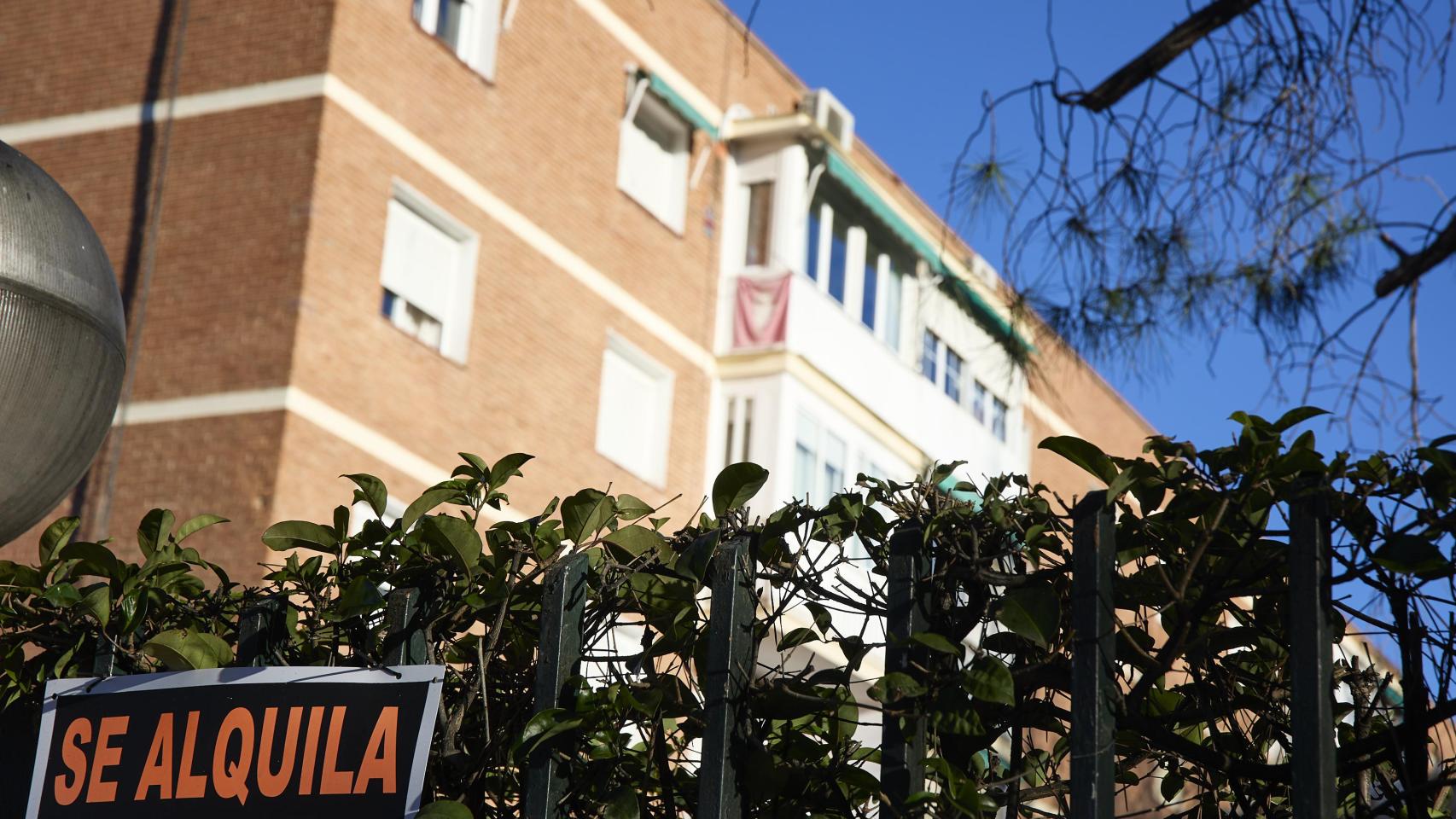 Vivienda en alquiler