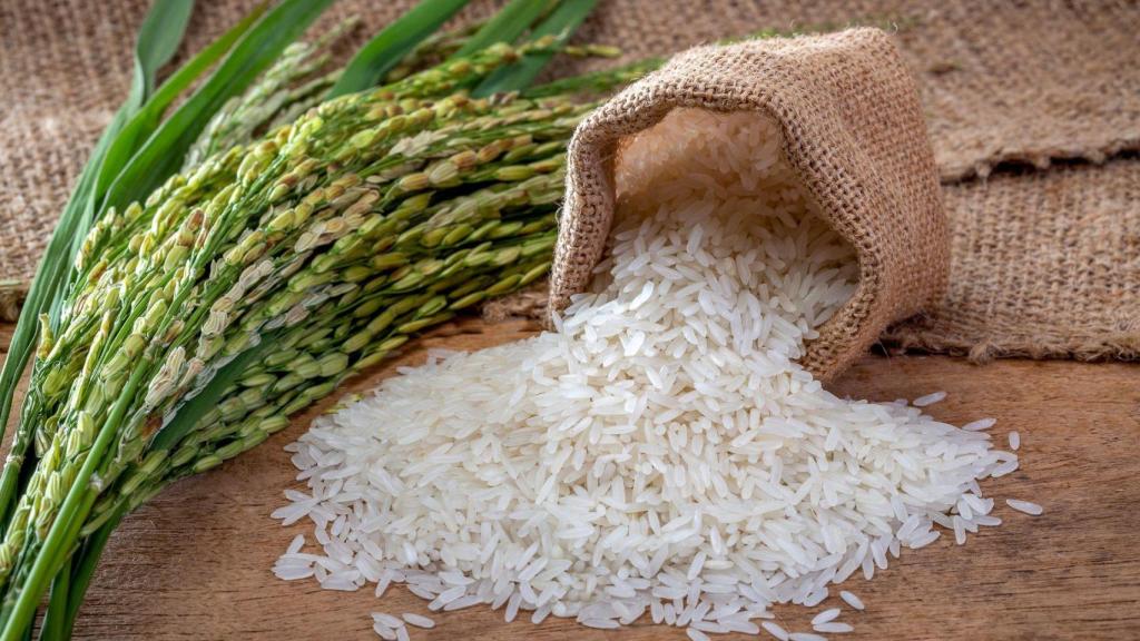 Arroz blanco