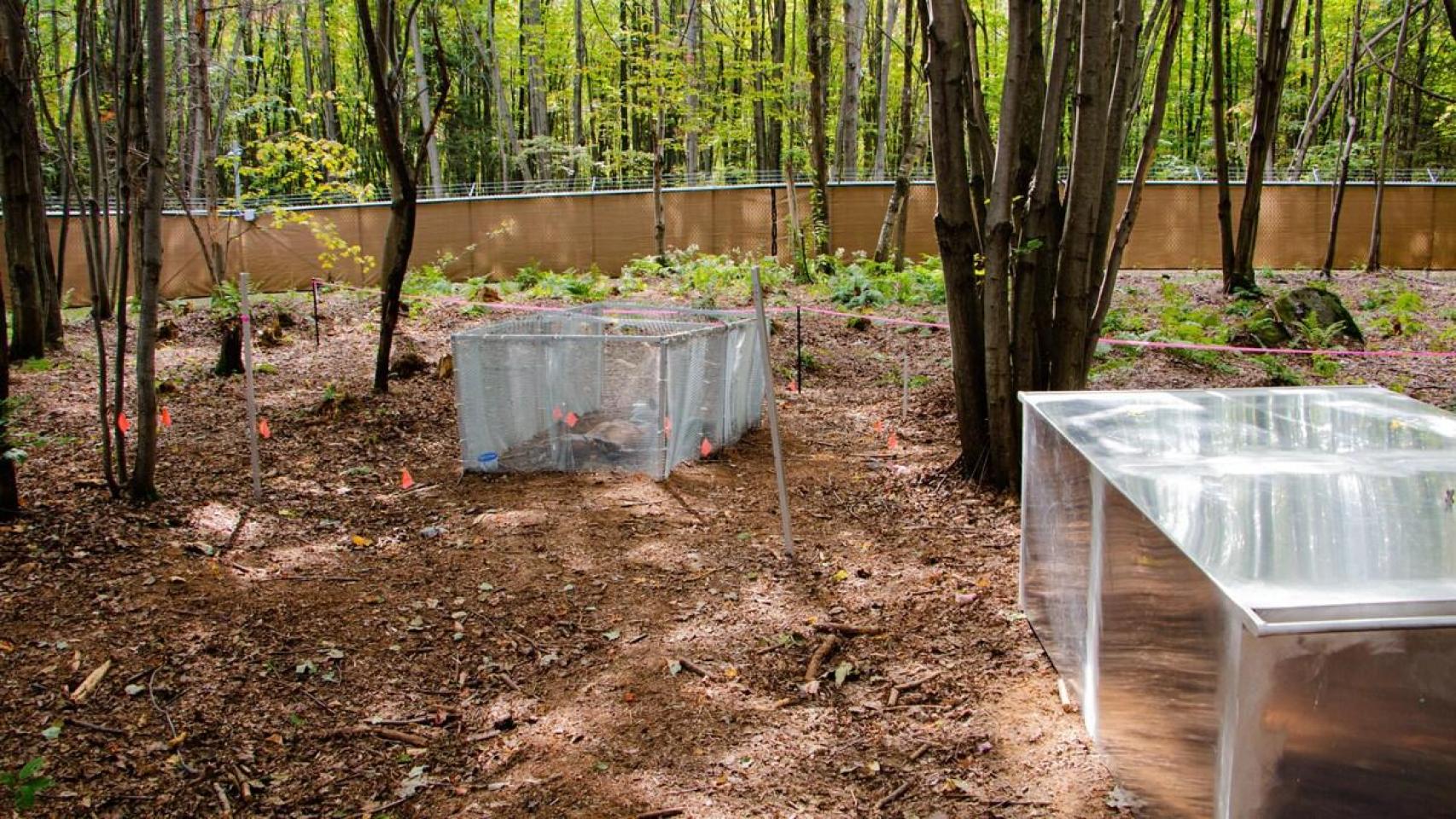 Laboratorio de tafonomía en Canadá