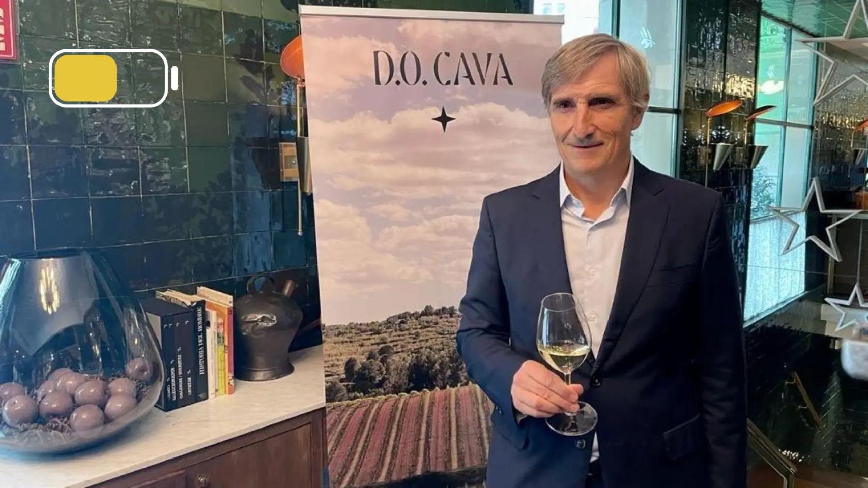 Imagen de archivo de Javier Pagés, presidente de la D.O. Cava