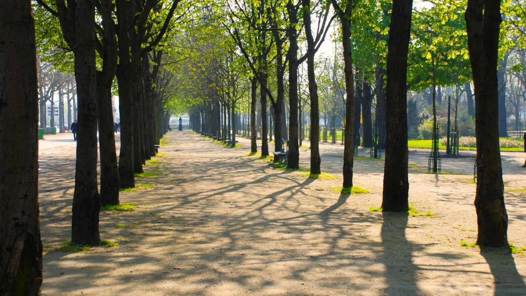 Campos Elíseos