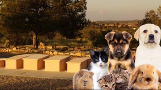 Cementerio de mascotas.jpg