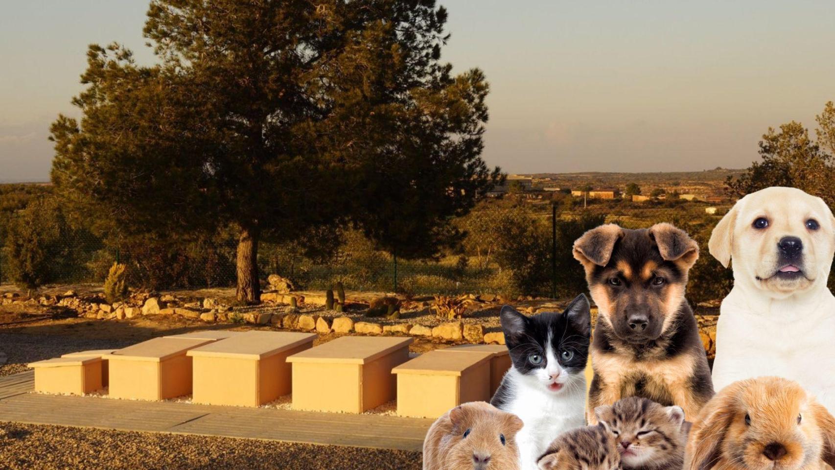 Cementerio de mascotas.jpg