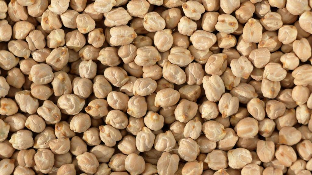 Garbanzos