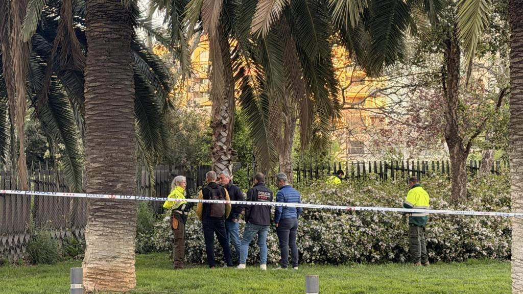 Agentes y mandos de la División de Investigación Criminal (DIC) de los Mossos d'Esquadra junto operarios de parques y jardines durante el dispositivo de búsqueda en los matorrales cercanos al bar Kibo