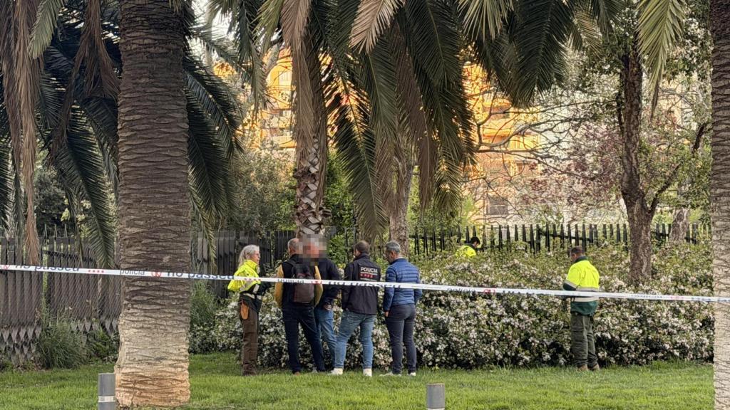 Agents i comandaments de la Divisió d’Investigació Criminal (DIC) dels Mossos d’Esquadra juntament amb operaris de parcs i jardins durant el dispositiu de recerca als matolls propers al bar Kibo