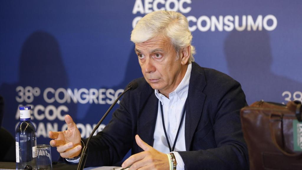 Ignacio Silva, presidente de Educa Borrás y Deoleo / EP