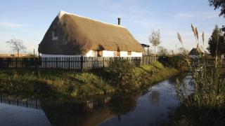 Casas en Deltebre