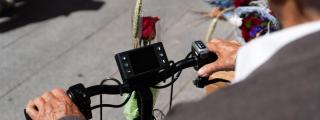 Sant Jordi 2026 recurso
