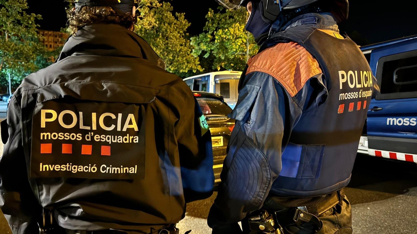 Dispositivo de los Mossos d'Esquadra contra una red de tráfico de marihuana y armas en Lleida