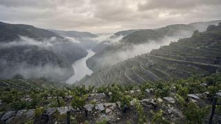 Ribeira Sacra lucence