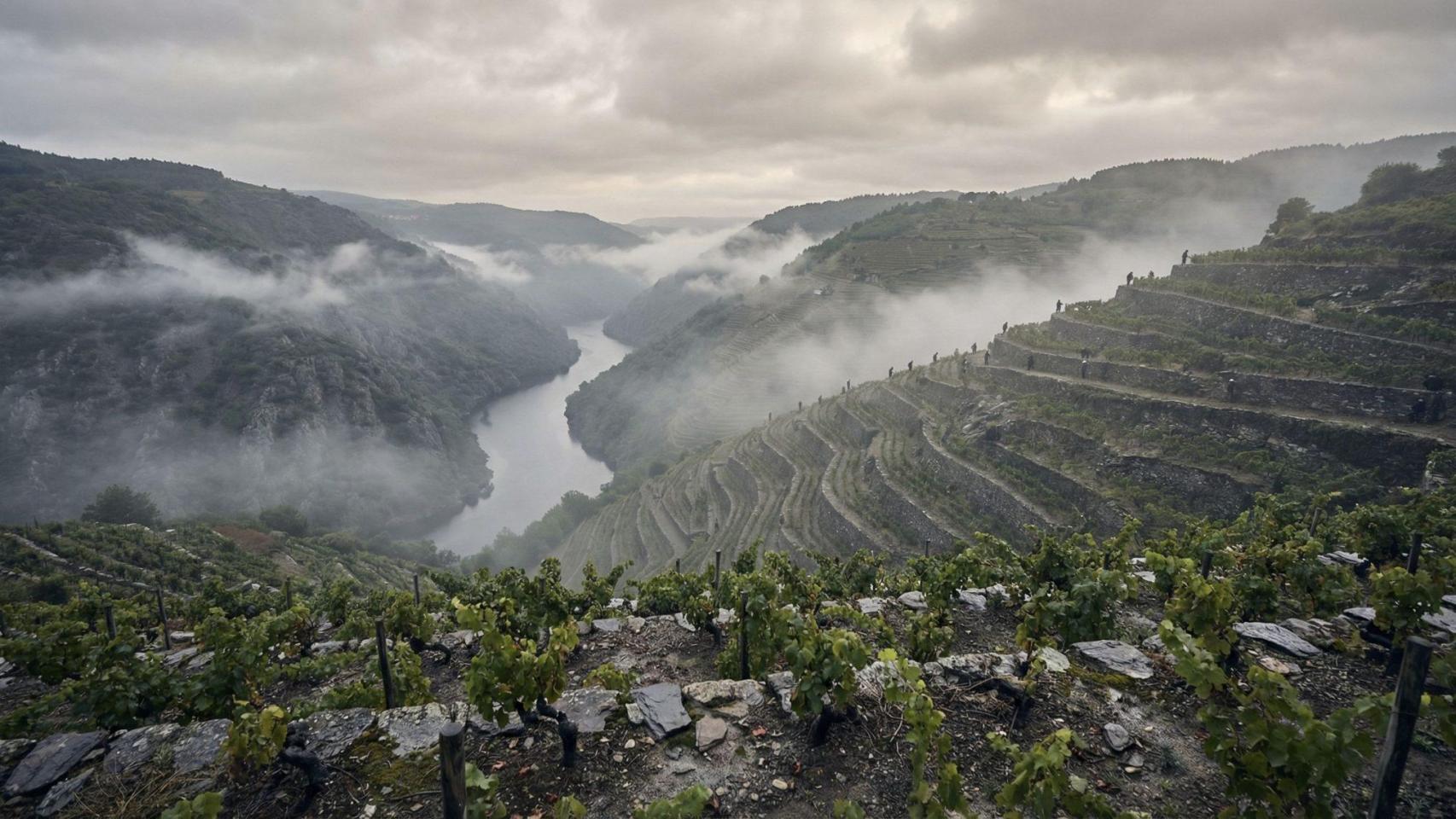 Ribeira Sacra lucence