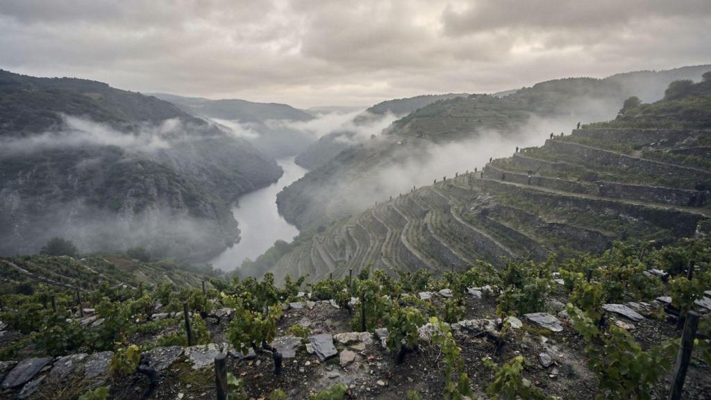 Ribeira Sacra lucence