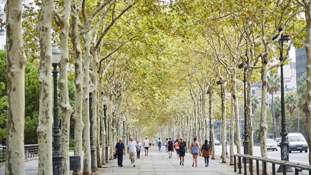Parte alta de la avenida Diagonal de Barcelona