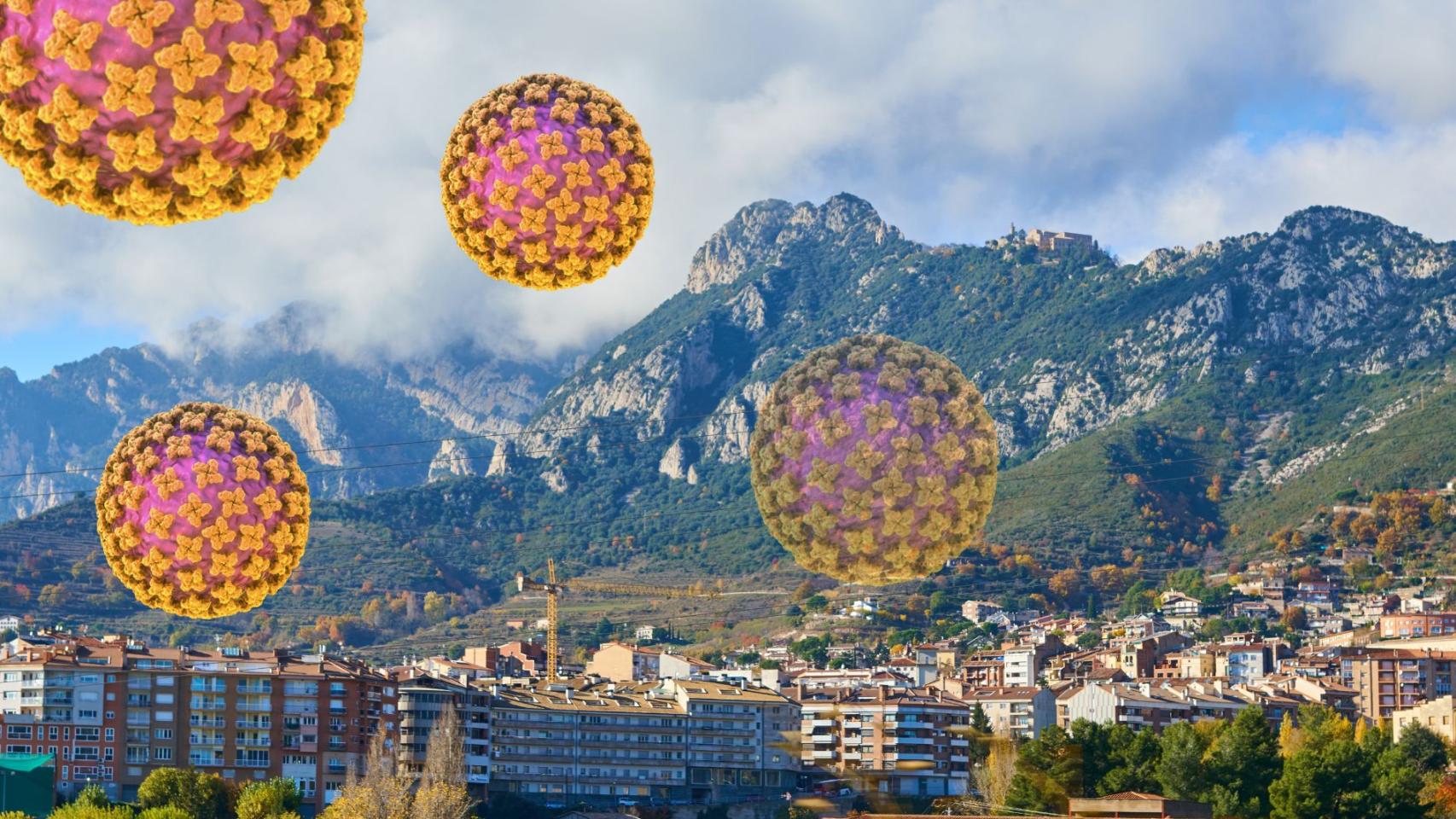 Caso de hantavirus en Berga