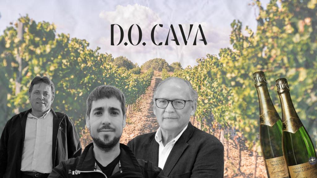 De izquierda a derecha: Josep Anton Vendrell (presidente AVP), David Sendra (líder de Viticultors del Cava/Unió de Pagesos) y Fernando Medina (Dominio de la Vega-Requena). Montaje fotográfico