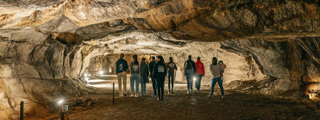 Cueva de L'Espluga de Francolí