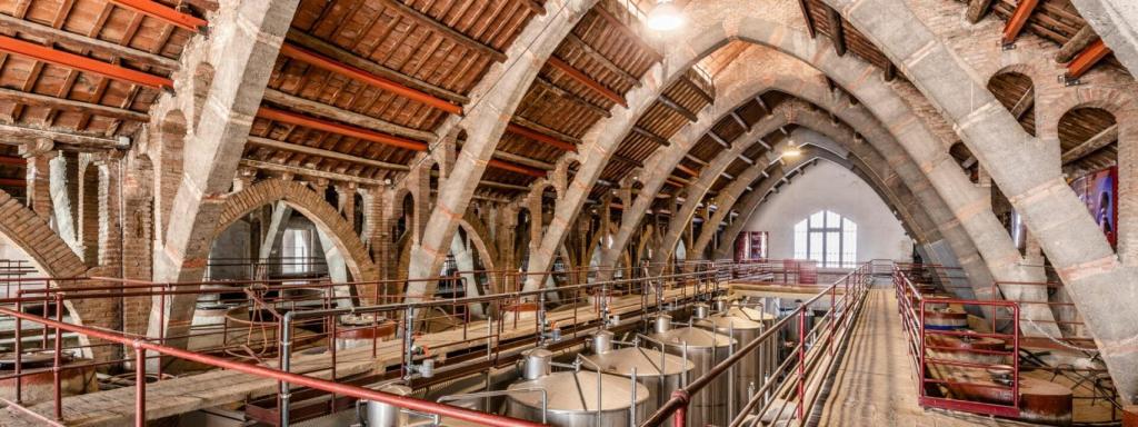 Catedral del vino