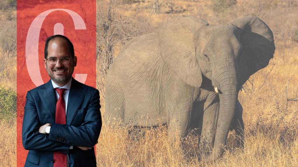 Javier Serrano Copete y la imagen de un elefante