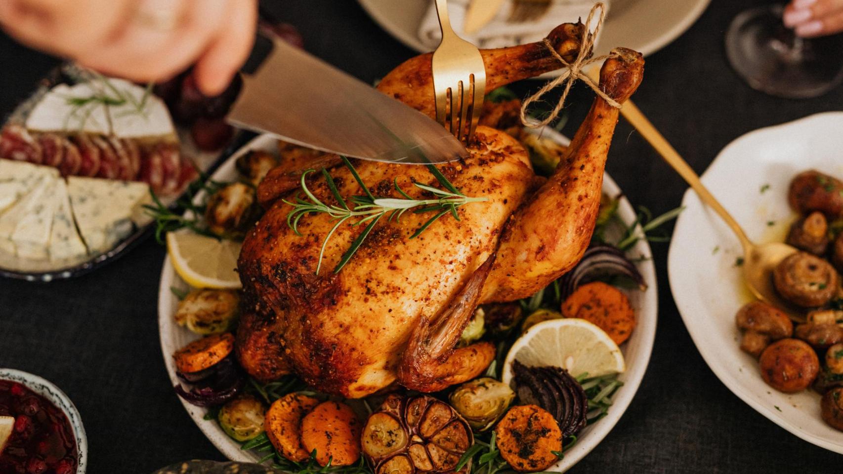 Pollo