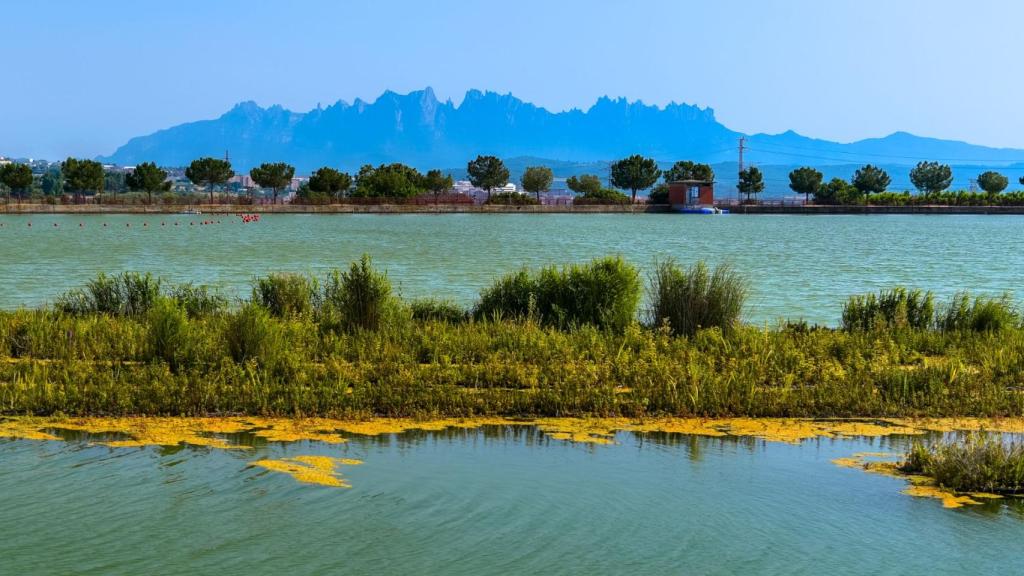 Vistes del Parc de l'Agulla.jpg