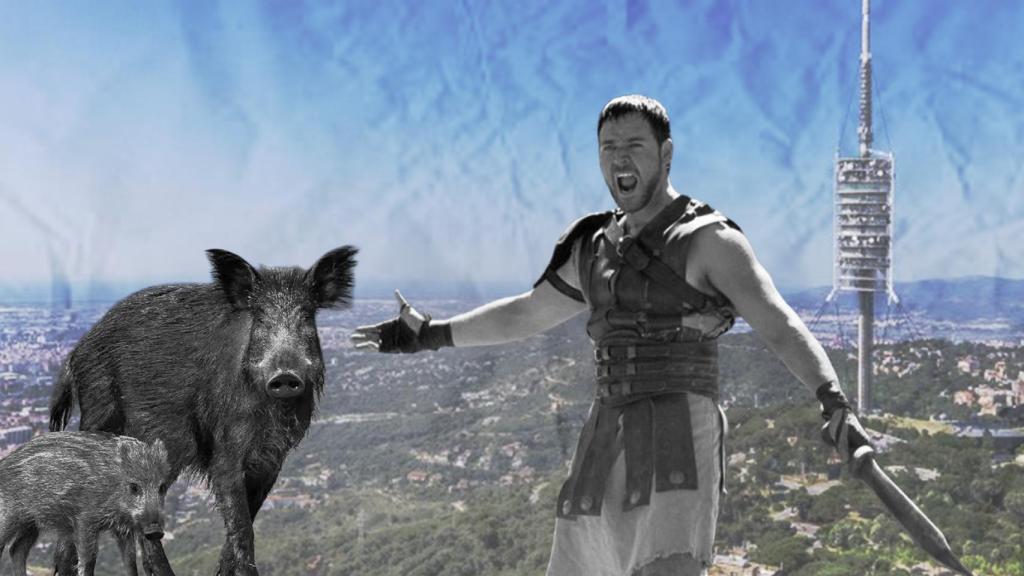 Parado el rodaje de una película de Russell Crowe por la pesta porcina