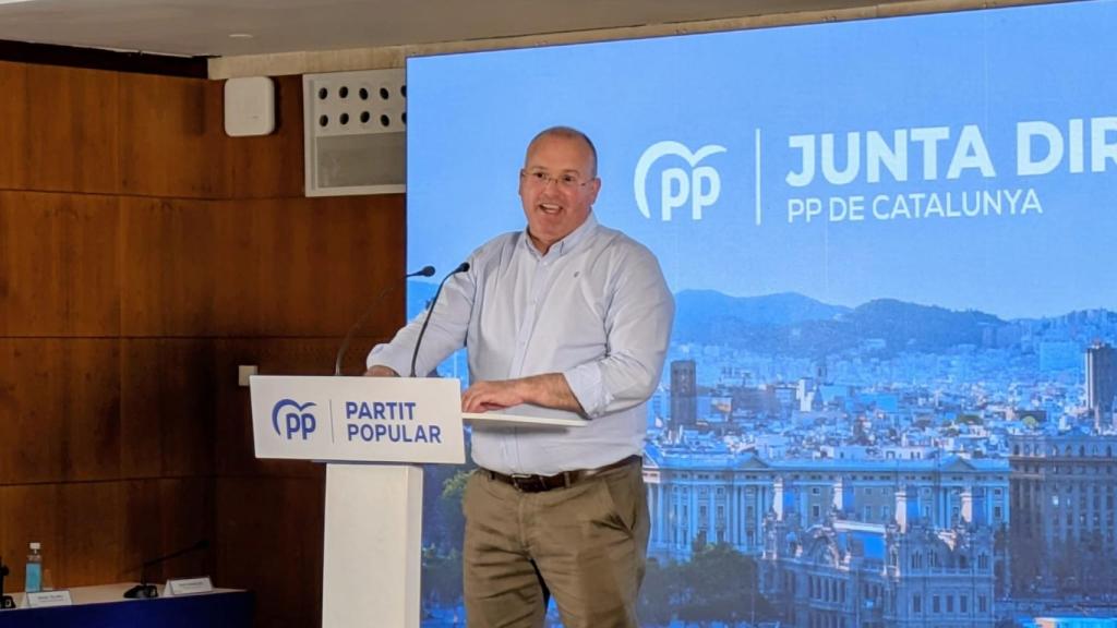 El secretari general del PP, Miguel Tellado
